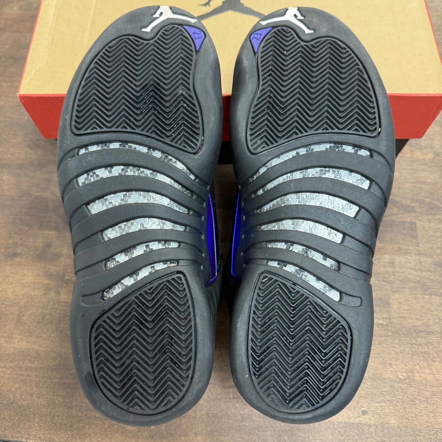 Dark Concord Jordan 12 (Lightly Worn)