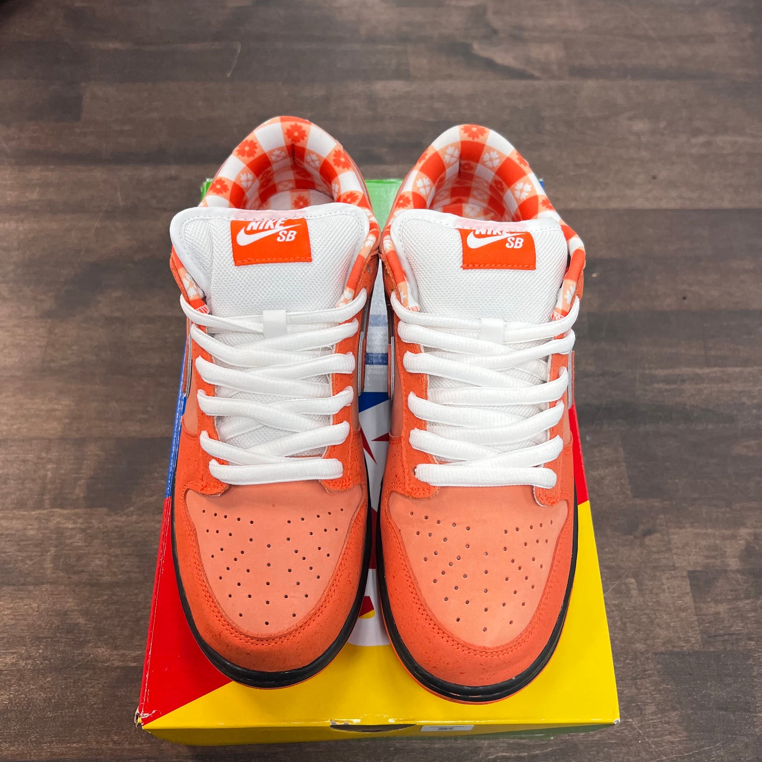 Orange Lobster Sb Dunk Low (USED)