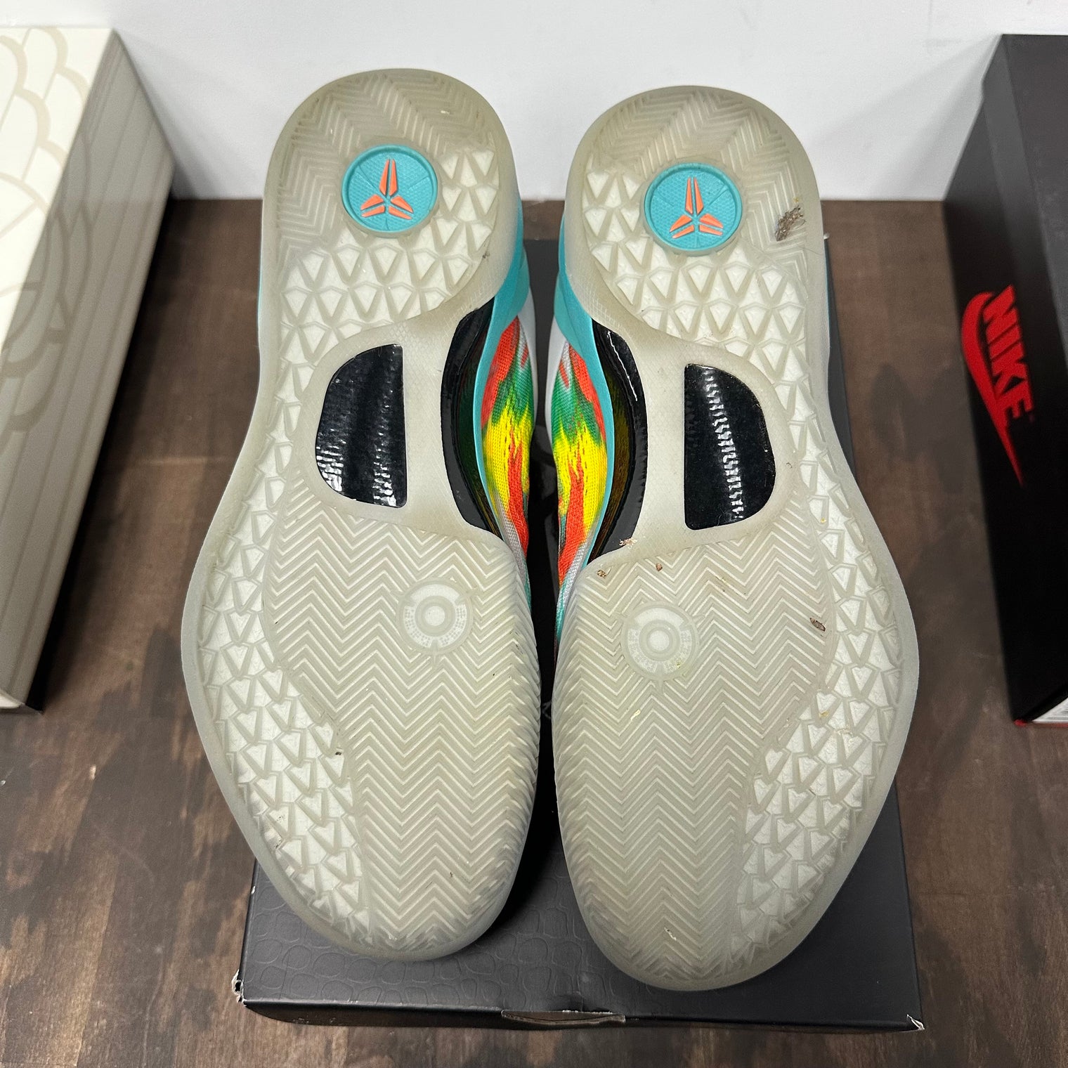 Venice Beach Kobe 8 Protro (USED)