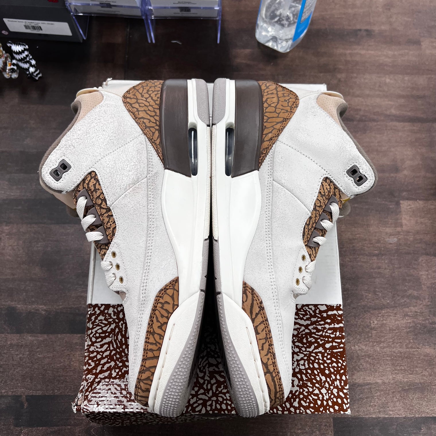 Palomino Jordan 3 (USED)