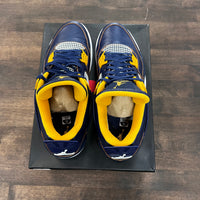 Dunk from Above Jordan 4 (USED)