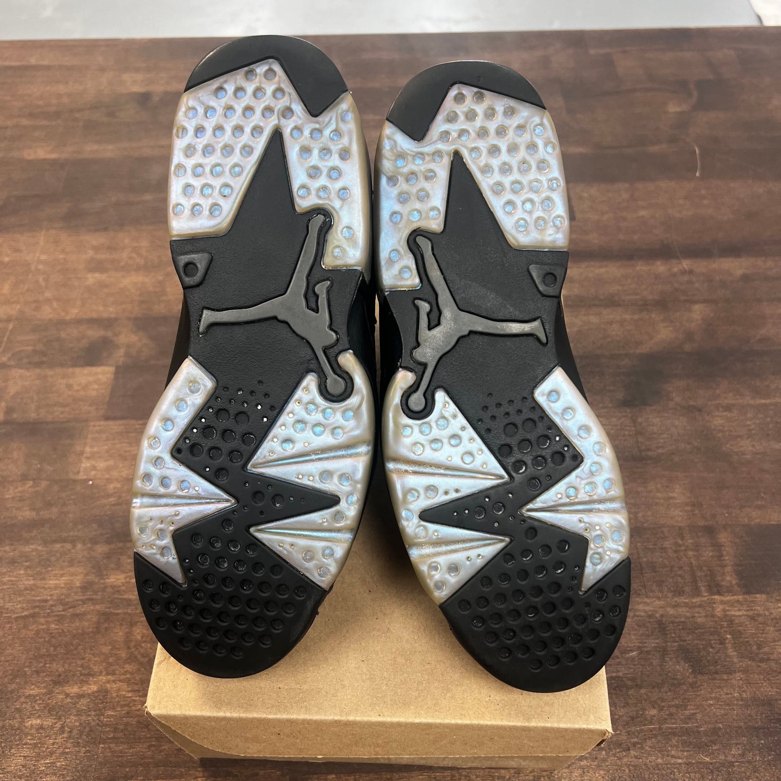 Chameleon Jordan 6 Retro (USED)
