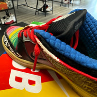What the Paul Nike SB Dunk Low (USED)