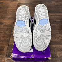 Aluminum SB Dunk Low (USED,No Box)