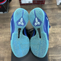 X-Ray Nike Kobe 5 (GS) (USED)
