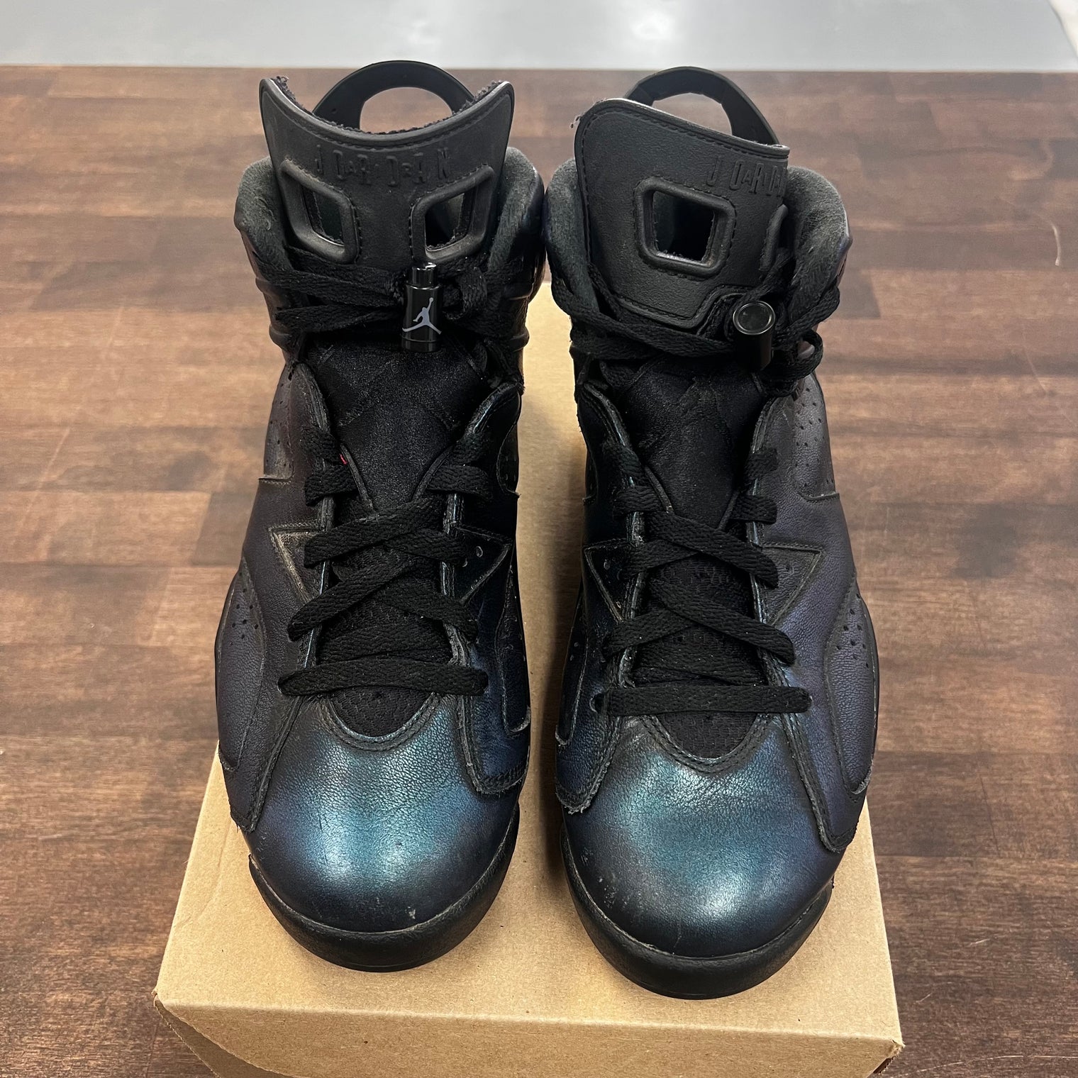 Chameleon Jordan 6 Retro (USED)