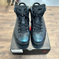 Chameleon Jordan 6 Retro (USED)