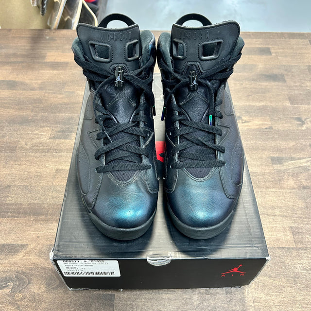 Chameleon Jordan 6 Retro (USED)