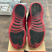 Flu Game Jordan 12 Retro (2025) (USED)