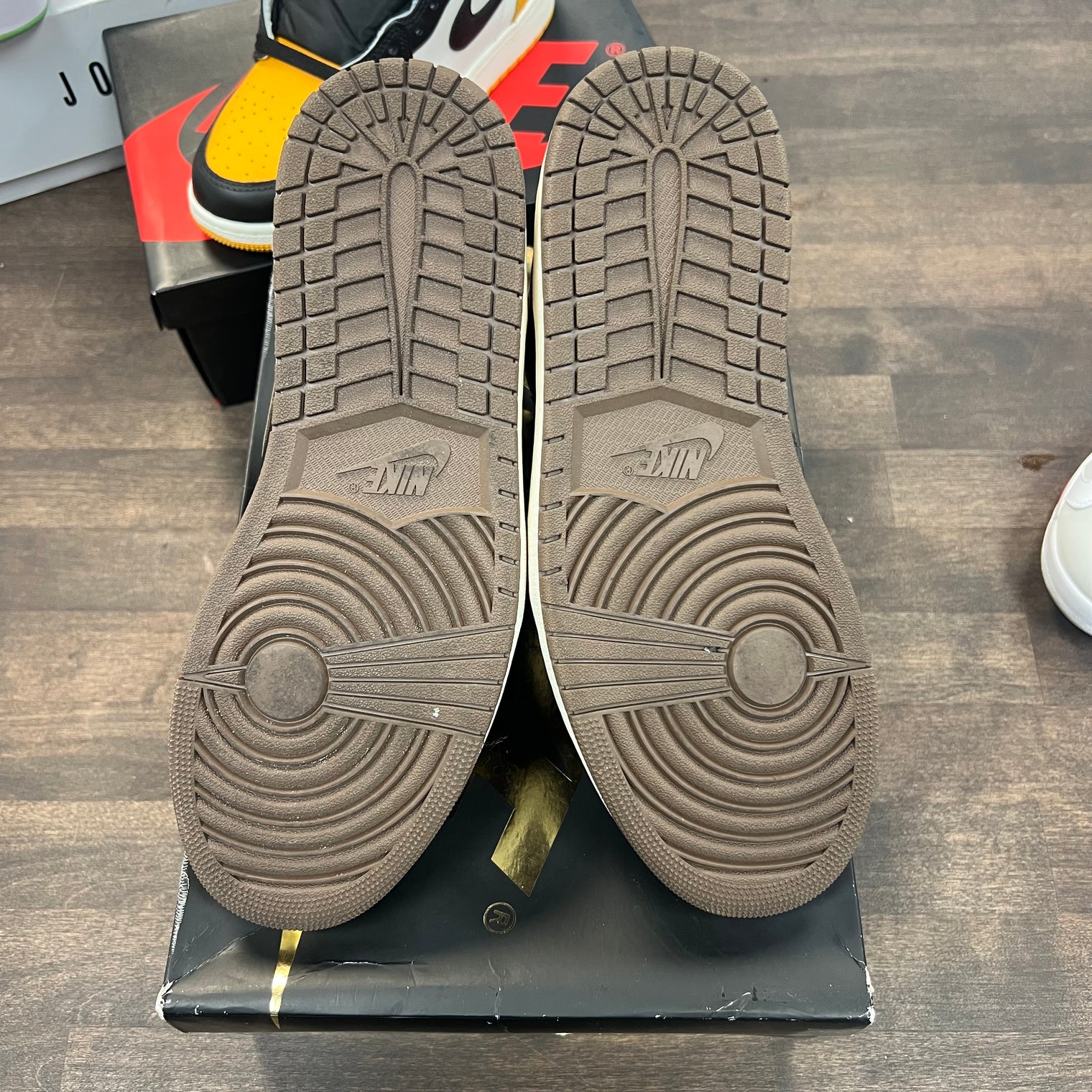 Palomino Jordan 1 High (USED)
