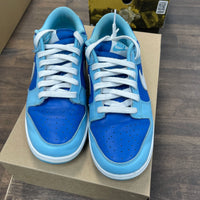 Argon Dunk Low (USED, No Box)