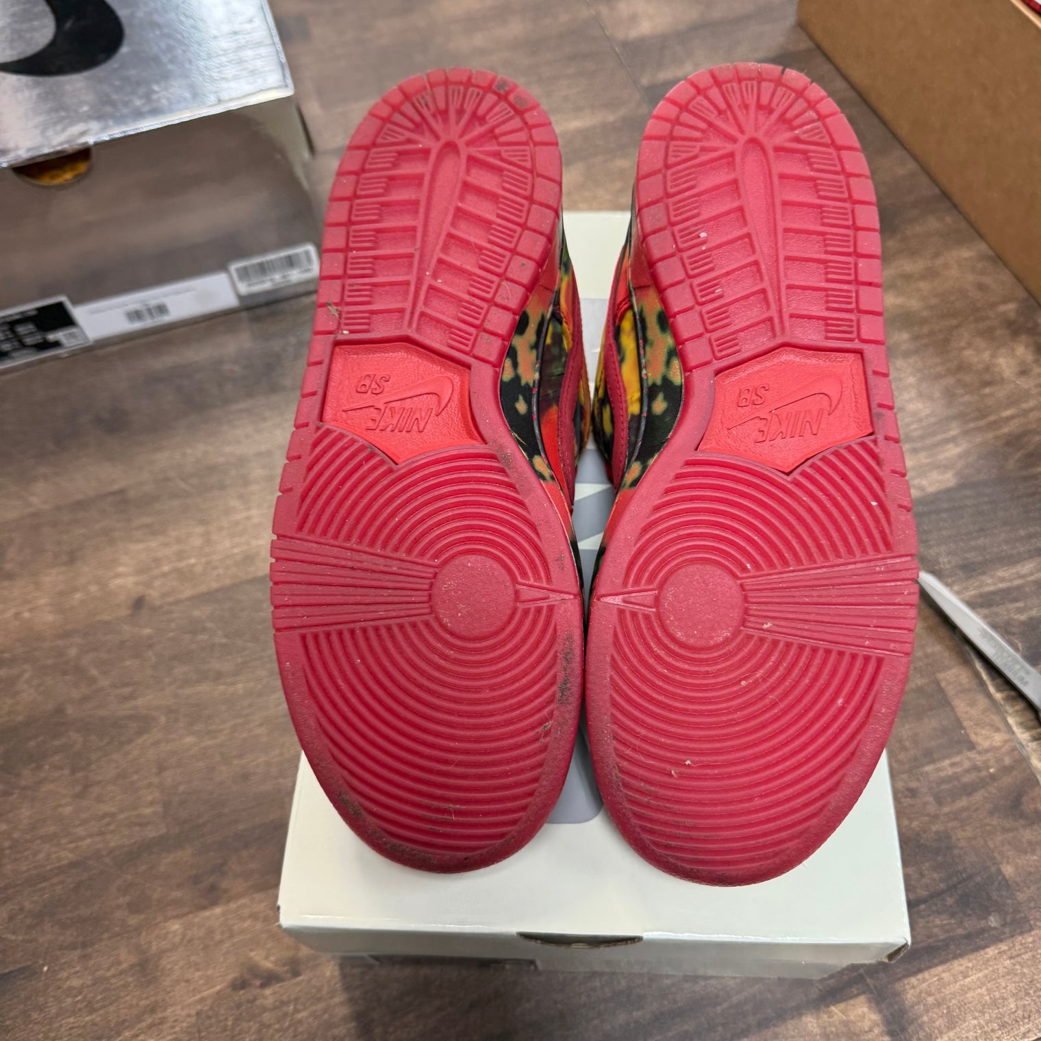 Wizard of OZ SB Dunk Low (USED)