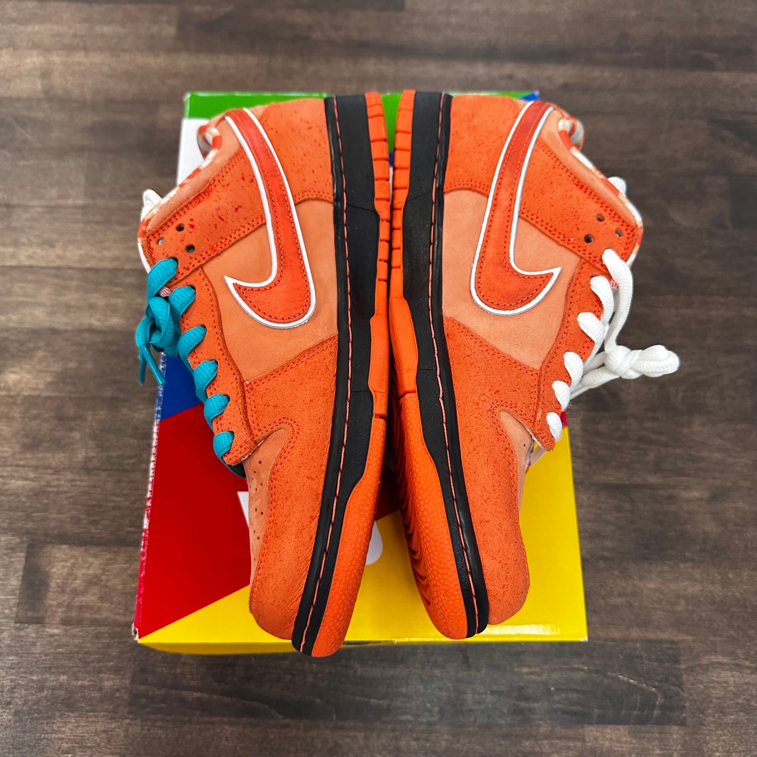 Orange Lobster Nike SB Dunk Low (USED)