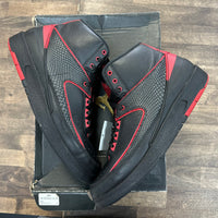 Alternate 87 Jordan 2 (USED)
