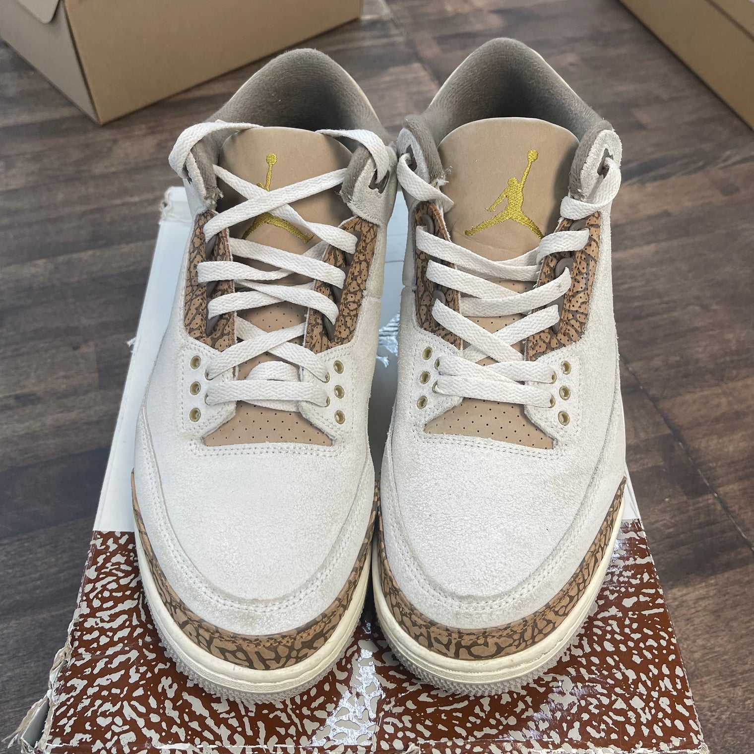 Palomino Jordan 3 (USED)
