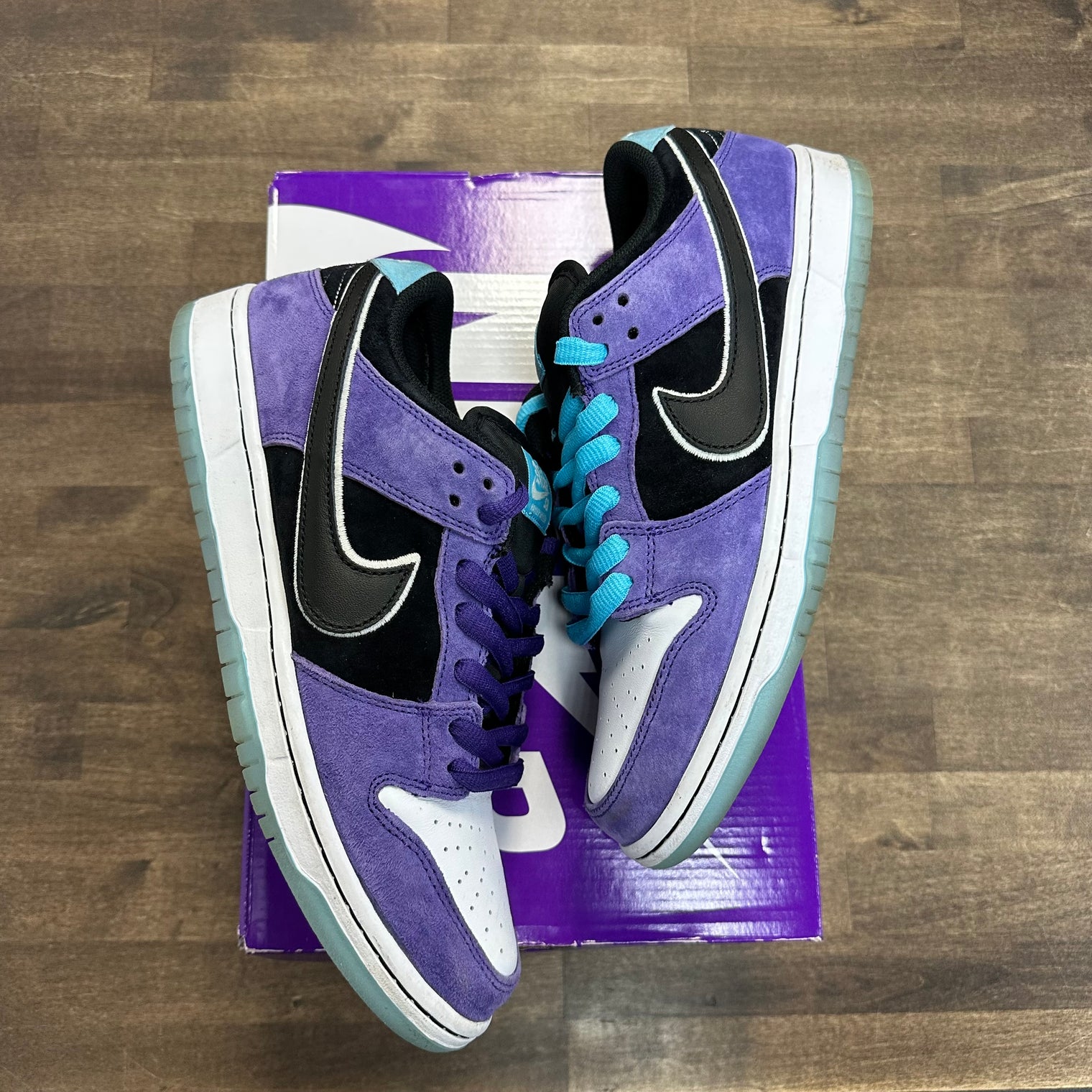 Haley Wilson Nike SB Dunk Low (USED)