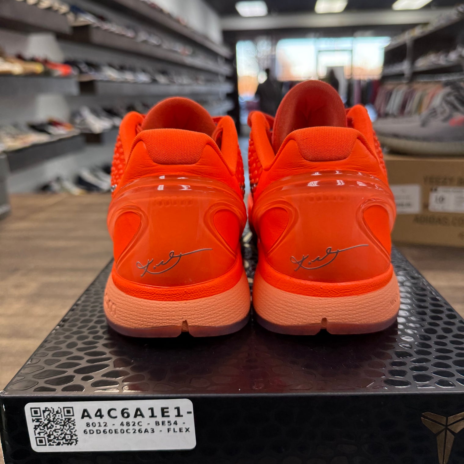 Total Orange Nike Kobe 6 Protro (Lightly Worn)