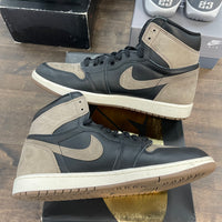 Palomino Jordan 1 High (USED)