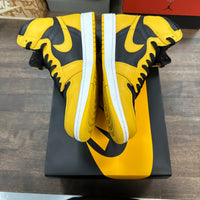 Pollen Jordan 1 High (USED)
