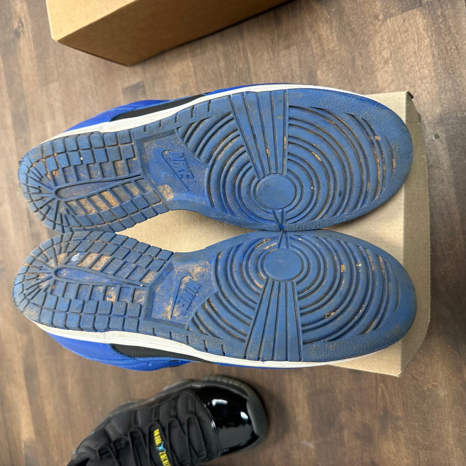 Cobalt Dunk Low (USED, No Box)