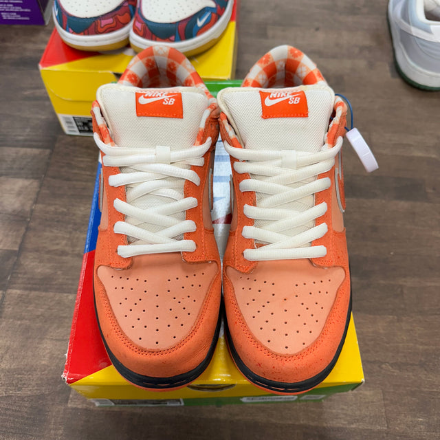 Orange Lobster SB Dunk Low (USED)