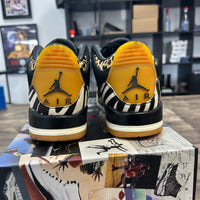 Animal Instinct Jordan 3 Retro SE (USED)