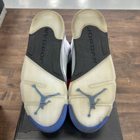 White Stealth Jordan 5 (2021) (USED)