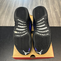 Dark Concord Jordan 12 Retro (USED)