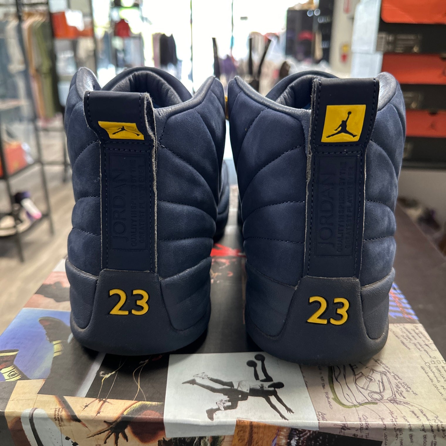 Michigan Jordan 12 (USED)