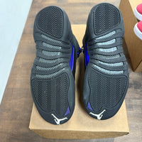 Dark Concord Jordan 12 (GS) (USED, No Box)