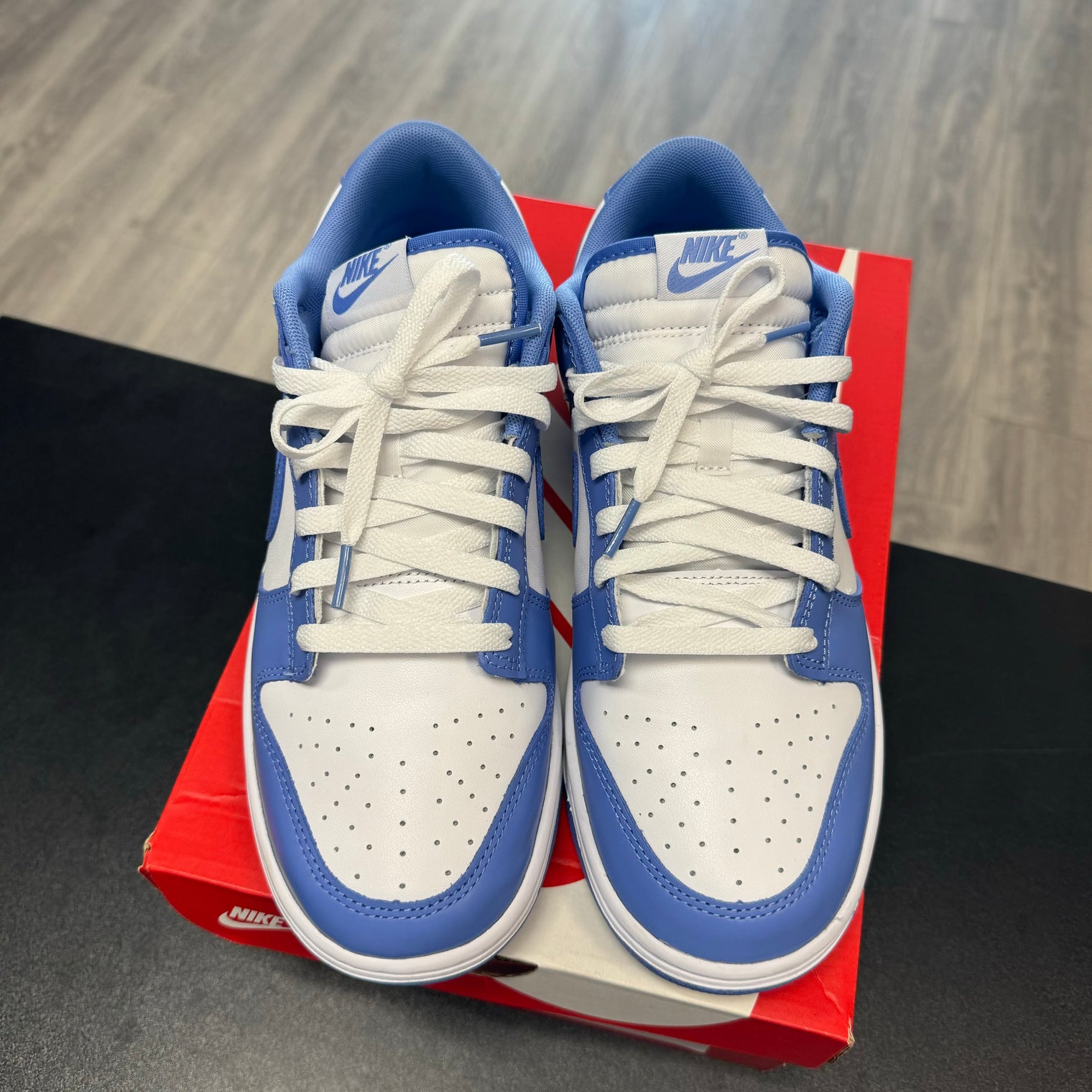 Polar Blue Dunk Low (USED)