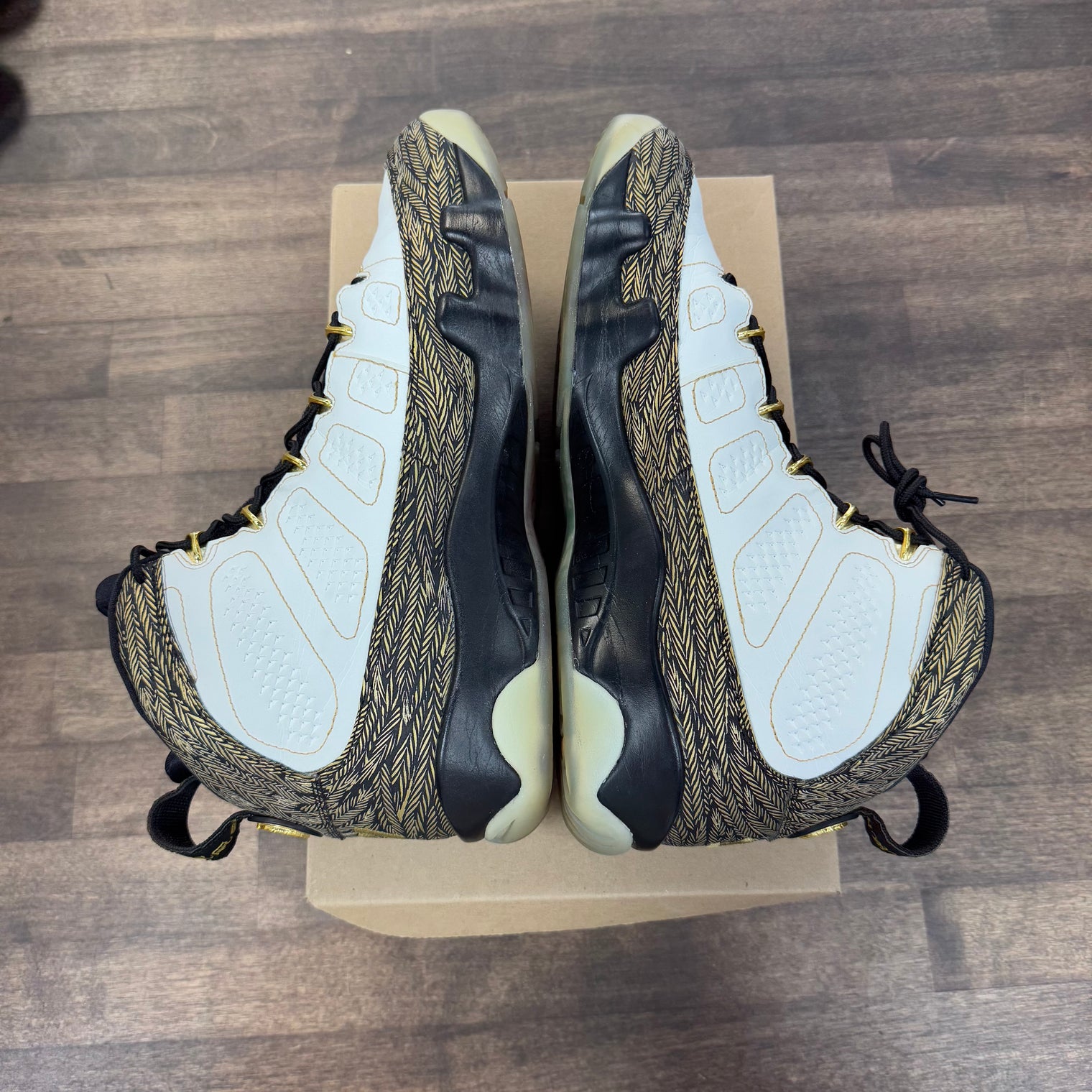 Doernbecher Jordan 9 (2012) (USED, No Box)