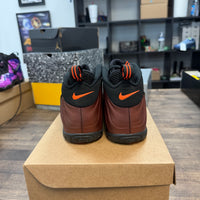 Color Shift Nike Air Foamposite One (GS) (USED, No Box)