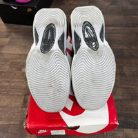 Black Metallic Silver Air Zoom Flight 95 (USED)