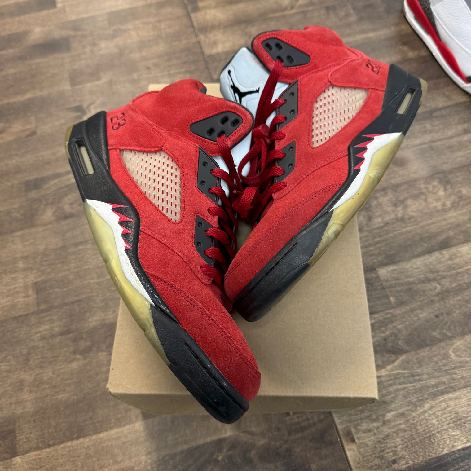 Raging Bull Jordan 5 Retro (USED, No Box)