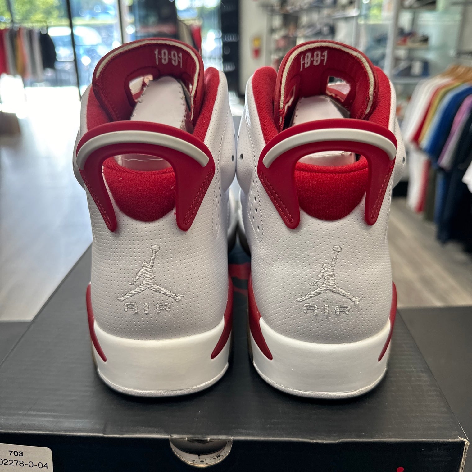 Alternate Hare Jordan 6 (USED)