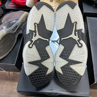 Chrome Jordan 6 Retro (USED)