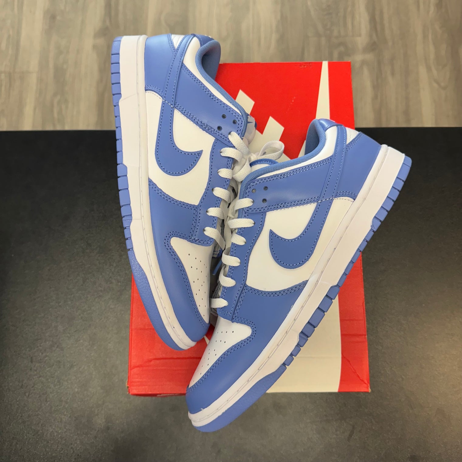 Polar Blue Dunk Low (USED)