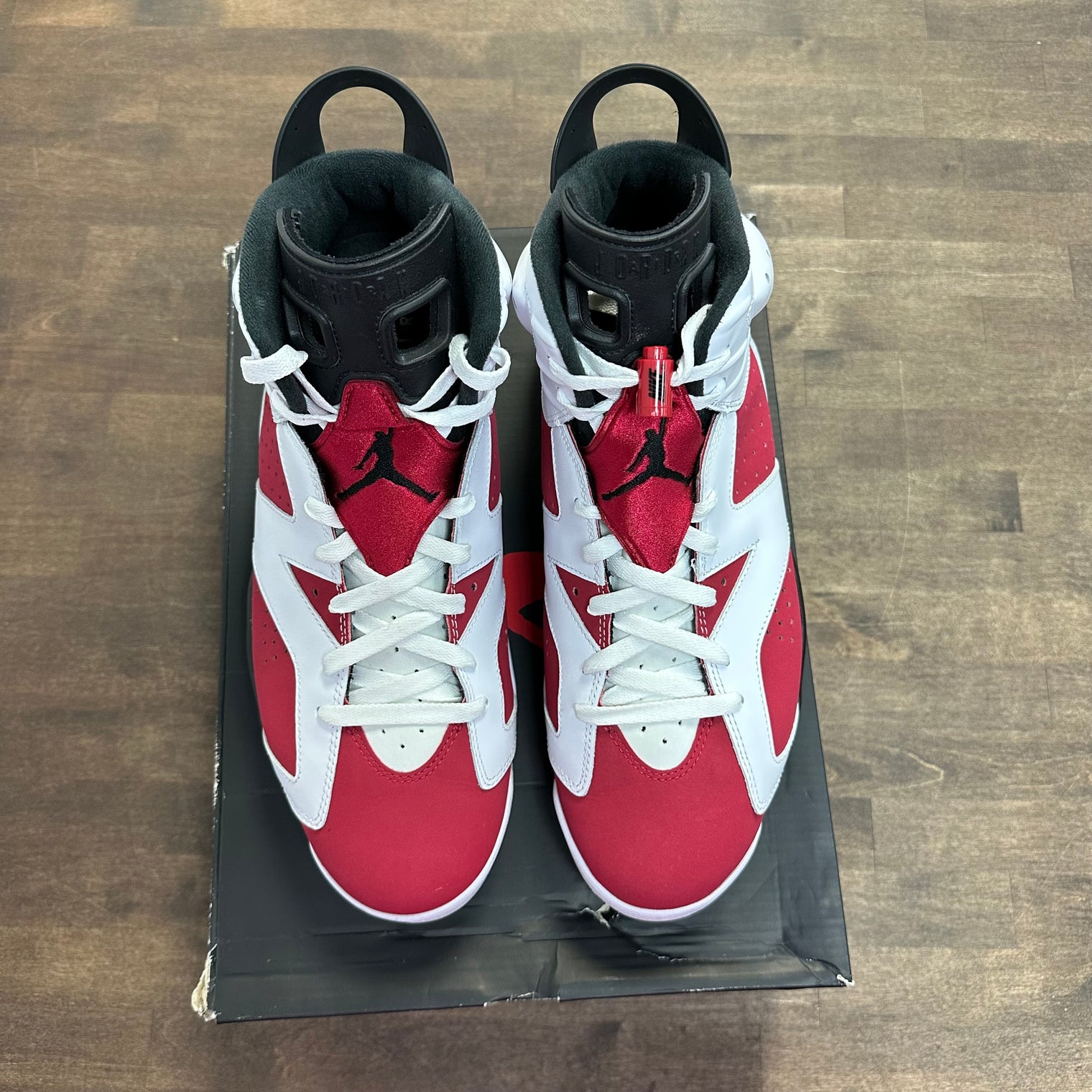 Carmine Jordan 6 Retro (2021) (USED)