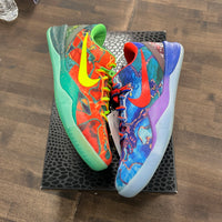 What the Kobe 8 Protro (USED)