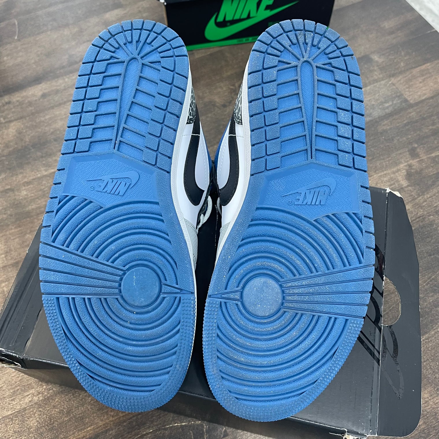 True Blue Jordan 1 Low SE (USED)