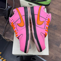 The Powerpuff Girls Blossom Nike SB Dunk Low (USED)