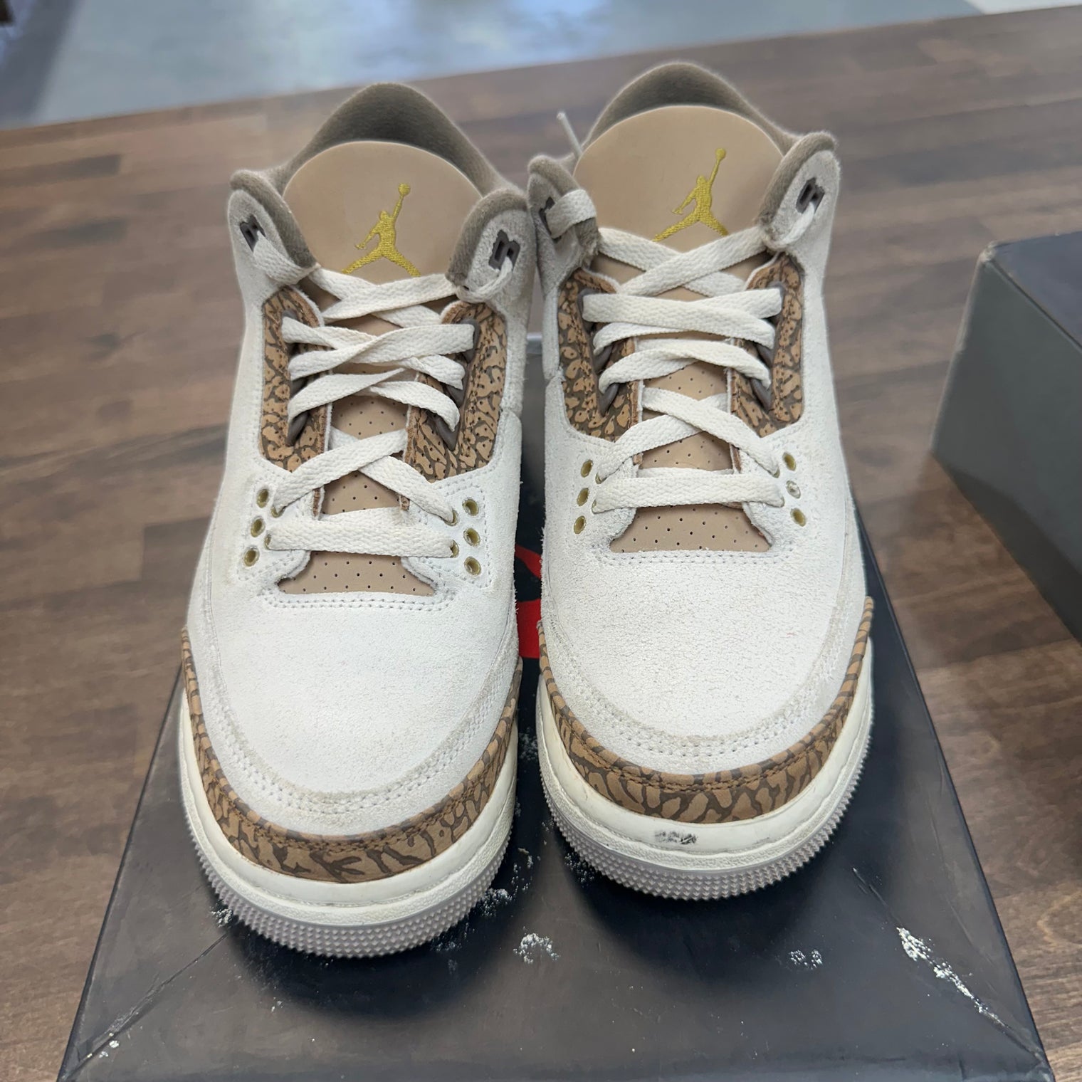 Palomino Jordan 3 (GS) (USED)