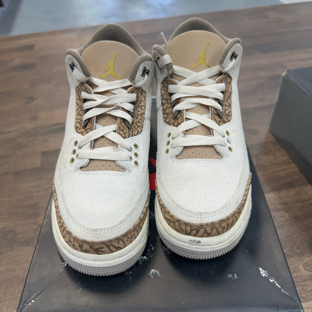 Palomino Jordan 3 (GS) (USED)