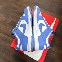 Nike Dunk Low Polar Blue (USED)