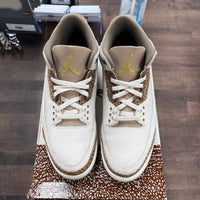 Palomino Jordan 3 (USED)