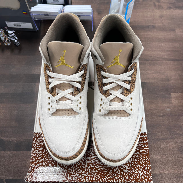 Palomino Jordan 3 (USED)