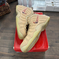 Vachetta Tan Nike Fomaposite Pro (USED)