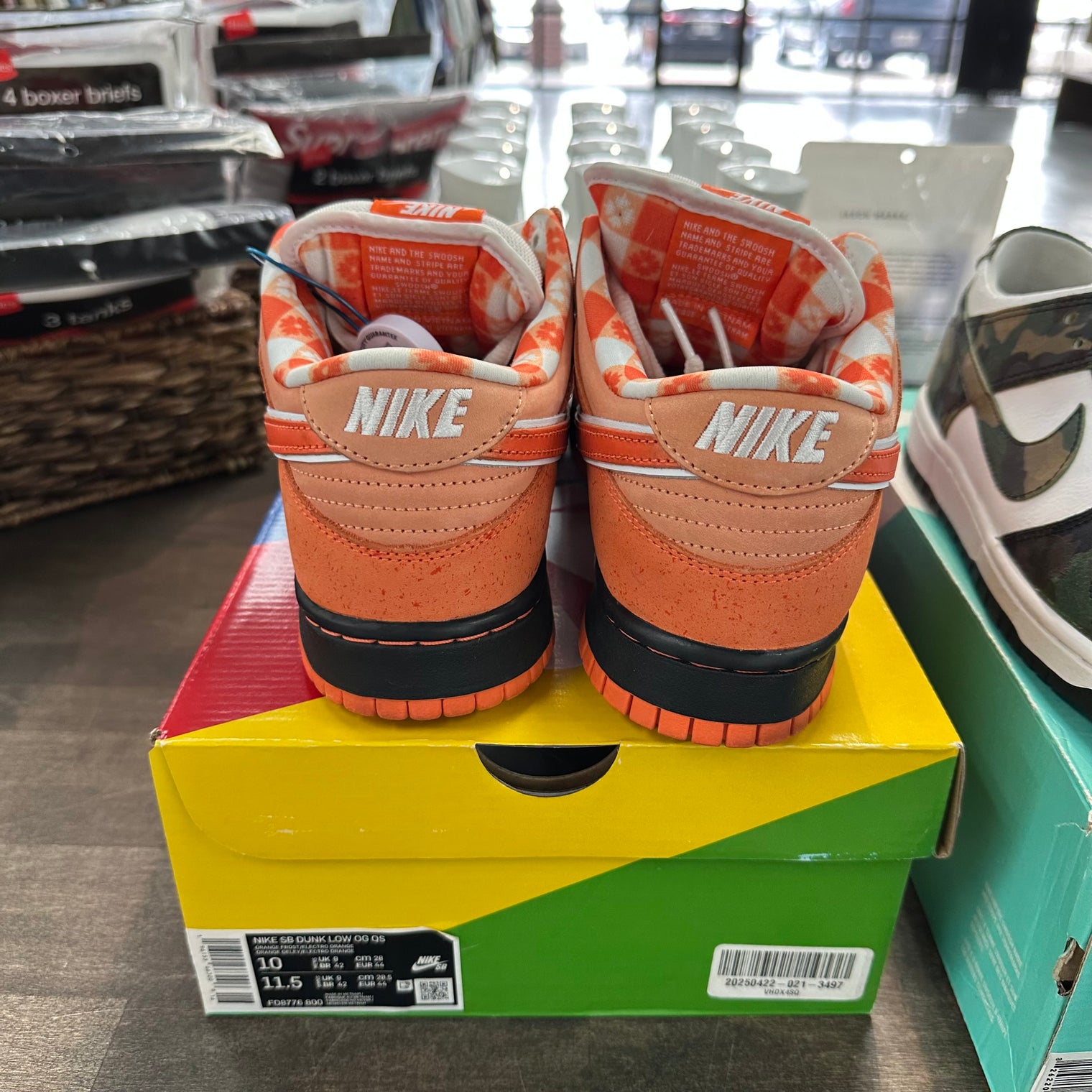 Orange Lobster SB Dunk Low (USED)
