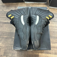 Master Jordan 12 Retro (USED, Replacement Box)